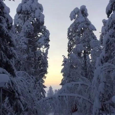Cozy And Comfortable Cottage, Levi Lapland * Kittilä